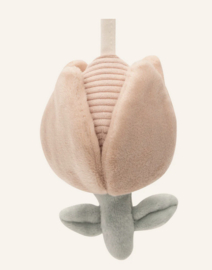 Jollein Wagenspanner Lovely Birds