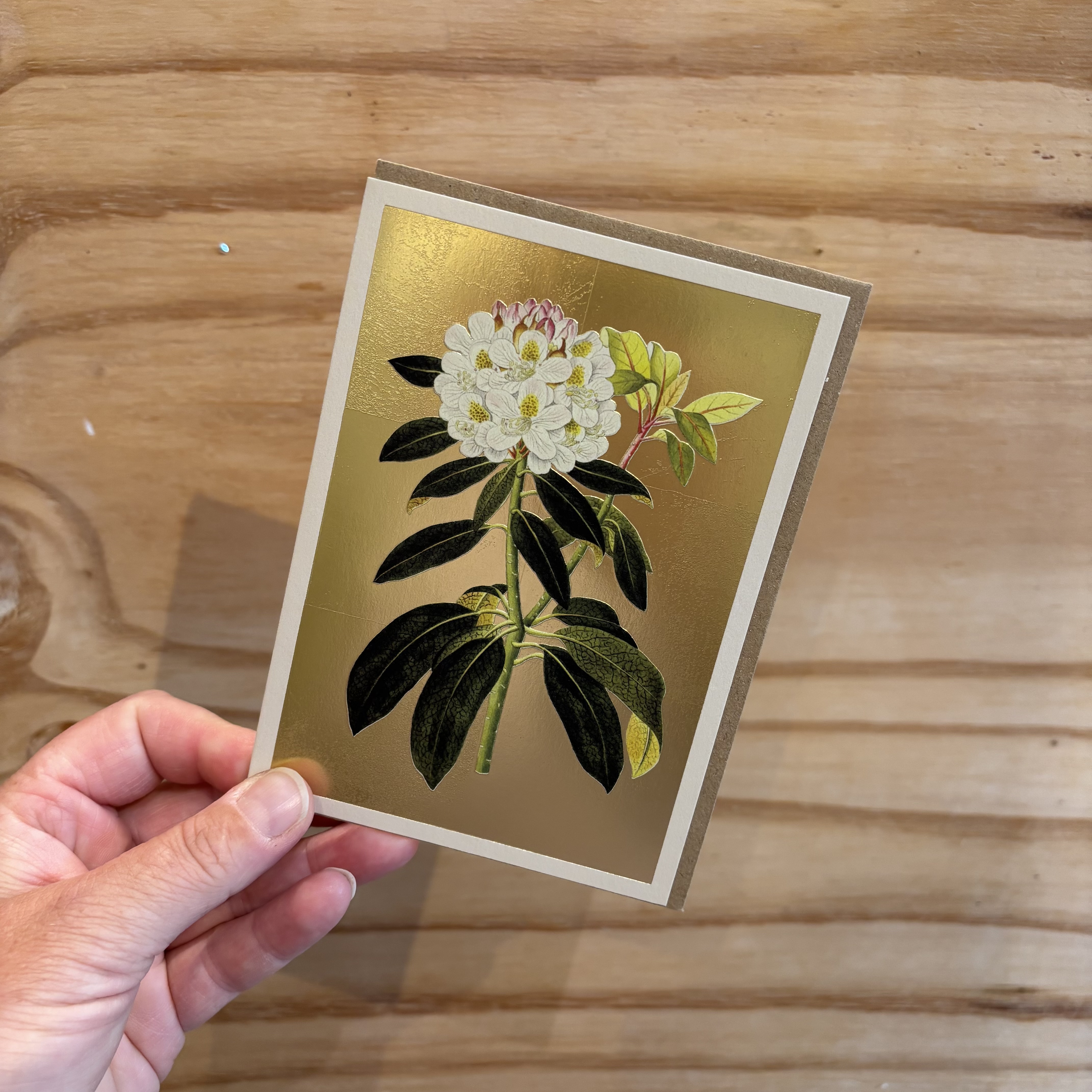 ohh deer wenskaart rhodondendron
