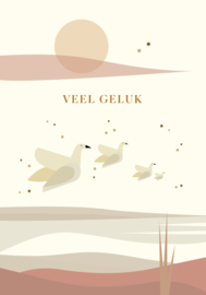 wenskaart Saskia Rasink | veel geluk