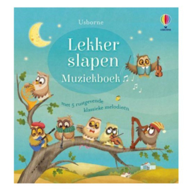 Boek Lekker slapen | muziekboek hardcover