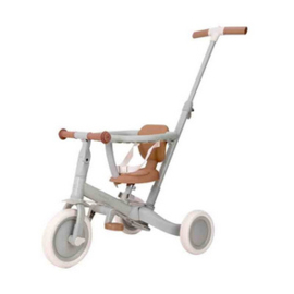 Little Dutch Driewieler met duwstang groen