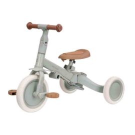 Little Dutch Driewieler met duwstang groen