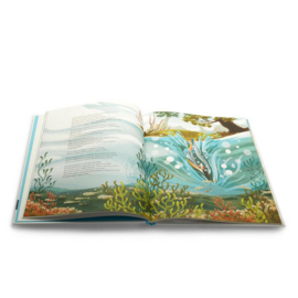 Boek Geluk voor kinderen VRIENDSCHAP | prentenboek