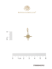 rose en camellia bedel ster
