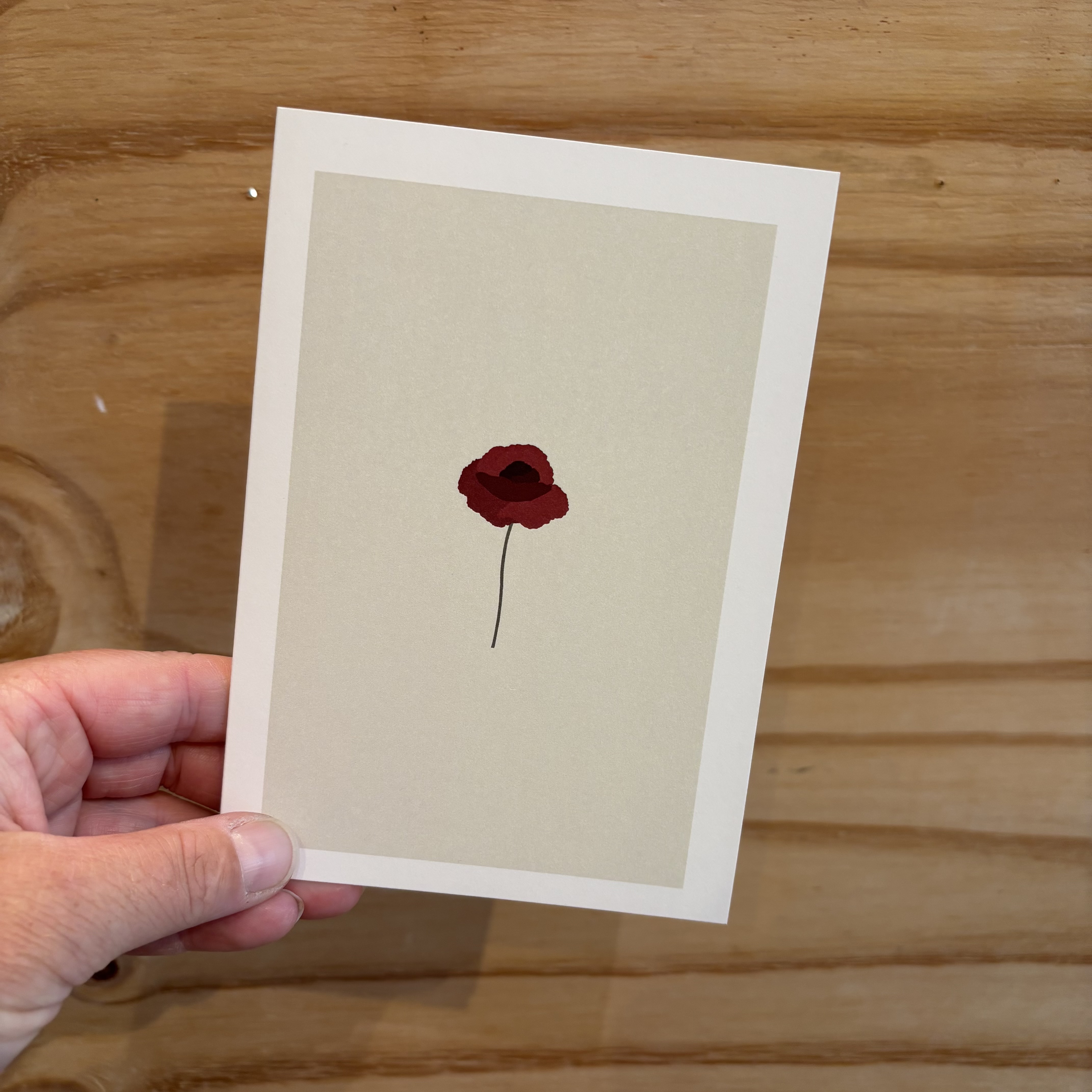 the card company wenskaart rode bloem