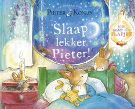 Boek Pieter Konijn: Slaap lekker Pieter!