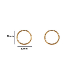 Go Dutch Label oorbellen | hoop 2 x 18mm goud