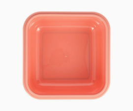 tutete lunchbox groot wild fairies