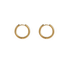 Go Dutch Label oorbellen | hoop 2,5 x 14mm goud