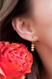 My Jewellery oorbellen | drie hartjes goud