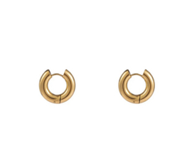 Go Dutch Label oorbellen | hoop 5 x 10mm goud