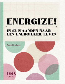 Energize! In 12 maanden naar een energieker leven