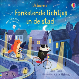 Boek Fonkelende lichtjes in de stad | lichtboekje