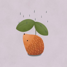 wenskaart studio noorderlicht egel in de regen