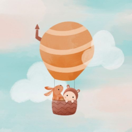 wenskaart studio noorderlicht baby in luchtballon