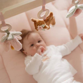 Little Dutch houten babygym Fairy Garden
