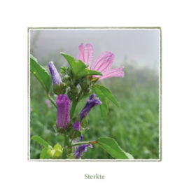 context cards wenskaart | sterkte