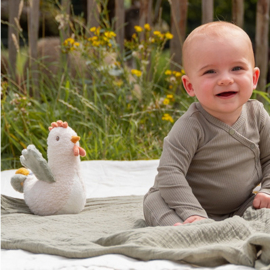 Little Dutch tuimelaar | litte farm