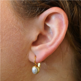 Camps & Camps oorbellen | goud plated  dormeuses