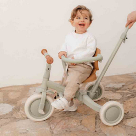 Little Dutch Driewieler met duwstang groen