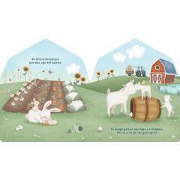 Boek Little Dutch doorkijkboek boerderij
