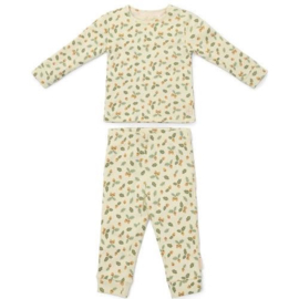 Little Dutch Tweedelige pyjama - Groen