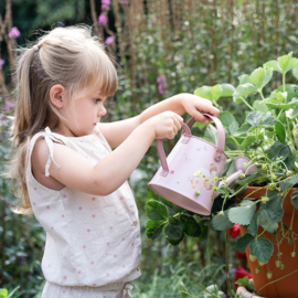 little dutch gieter fairy garden