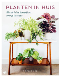 Planten in huis