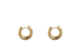 Go Dutch Label oorbellen | hoop 5 x 12mm goud