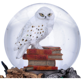 Harry Potter: Hedwig Snow Globe