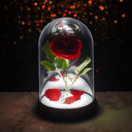 Disney: Beauty and the Beast - Enchanted Rose Light