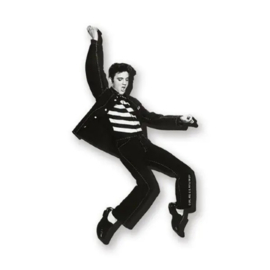 Elvis: Jailhouse Funky Chunky Magnet