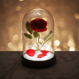 Disney: Beauty and the Beast - Enchanted Rose Light