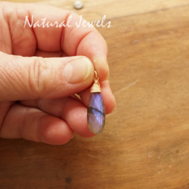 Labradoriet hanger goud