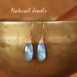 Gouden Labradoriet oorbellen