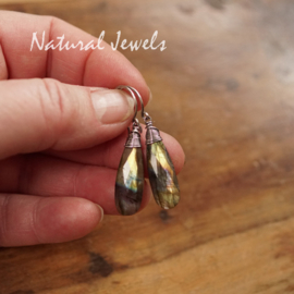 Labradoriet oorbellen zilver