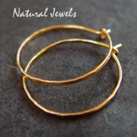 xxx - verkocht xxx Golden Sparkling Hoops - medium