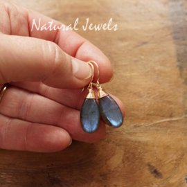 Gouden Labradoriet oorbellen