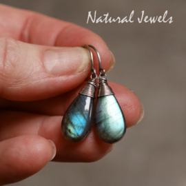 Labradoriet oorbellen van zilver