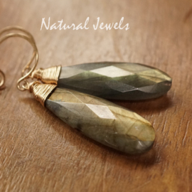 Gouden Labradoriet oorbellen