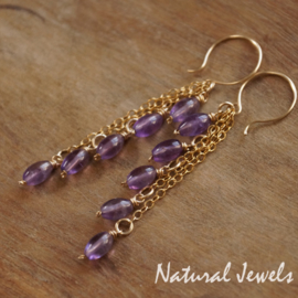 xxx - verkocht - xxx Gouden oorbellen Ametist - bunch of Amethyst