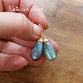 xxx - verkocht - xxx Gouden Labradoriet oorbellen