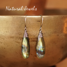 Labradoriet oorbellen zilver