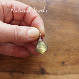 Labradoriet hangertje