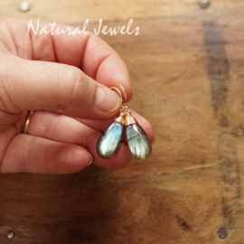 Gouden Labradoriet oorbellen