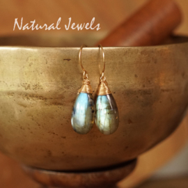 Gouden Labradoriet oorbellen