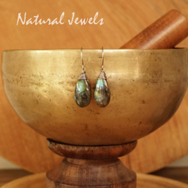 Labradoriet oorbellen van zilver