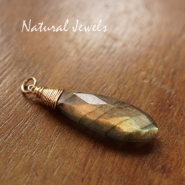 Labradoriet hanger goud