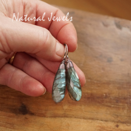 Labradoriet oorbellen zilver