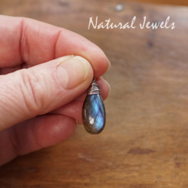 Labradoriet hangertje